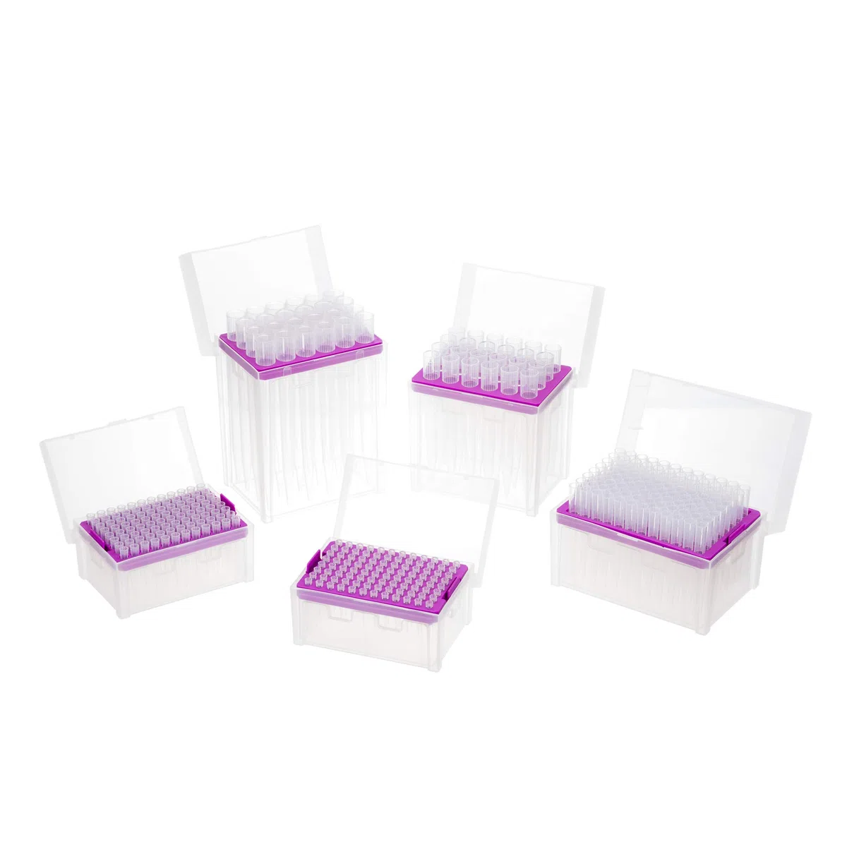 Kompletny zestaw mikropipetek 0,1 μl do 10 ml. 6 mikropitek (0,1-2,5 μl, 0,5-10 μl, 10-100 μl, 100-1000 μl, 1000-5000 μl, 2-10 ml); uchwyt pipety; 5 stojaków końcówki pipp sterylne skarpety