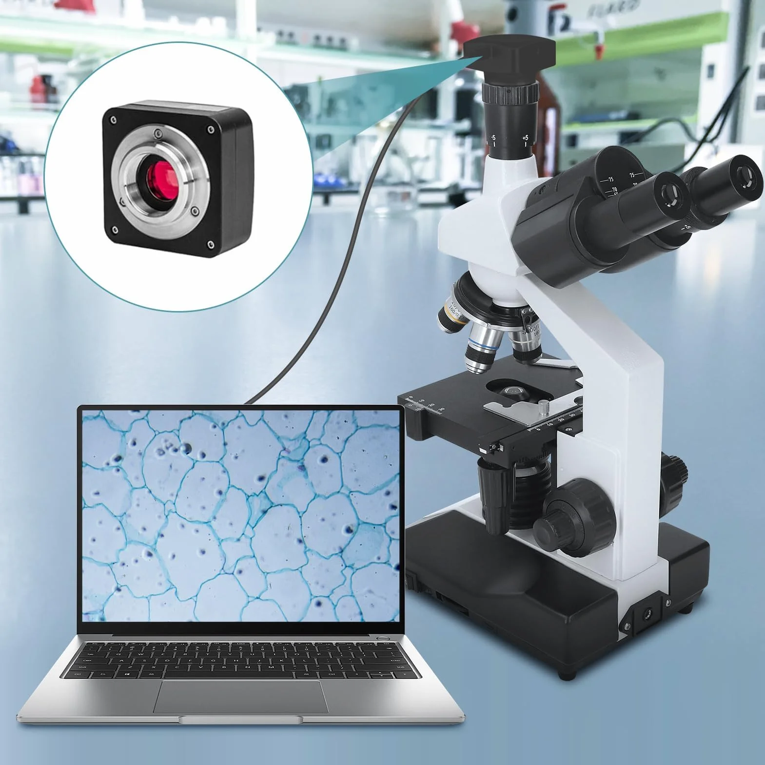 Mikroskop półprzezroczysty, powiększenie trójokularowy mikroskop laboratoryjny cyfrowy mikroskop elektronowy do kultur klinicznych, bakteriologii i histologii 40X-5000X