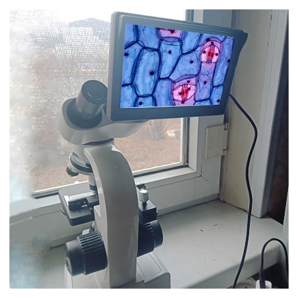 Mikroskop Biologiczny Zoom 30000X HD Cyfrowy Laboratoryjny Mikroskop Złożony Z Okularami Szerokokątnymi 10X I 50X Do Laboratorium,OferująC WięKszą Precyzję